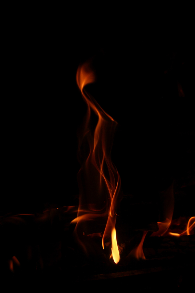 2013 01 20 IMG 2150